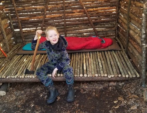 Bushcraft Log Cabin Build – 8 Days Winter Camping & Cooking in Primitive Shelter