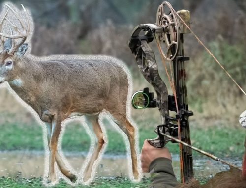 Top 5 Deer Hunting Tips For Ground Setups!