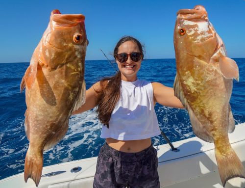 NONSTOP Fishing ACTION! CATCH, CLEAN, COOK! Marco Island, Florida