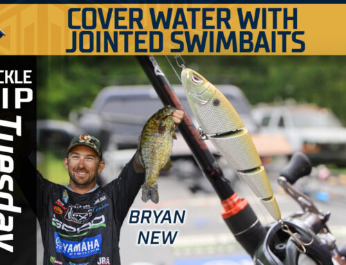Tackle Tip Tuesday: Covering shallow water fast with a jointed swimbait