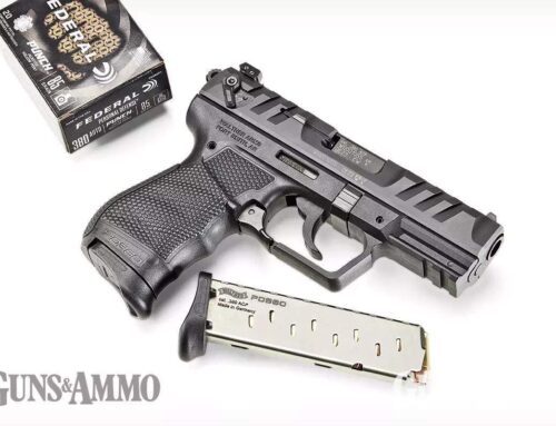 Walther PD380: Full Review