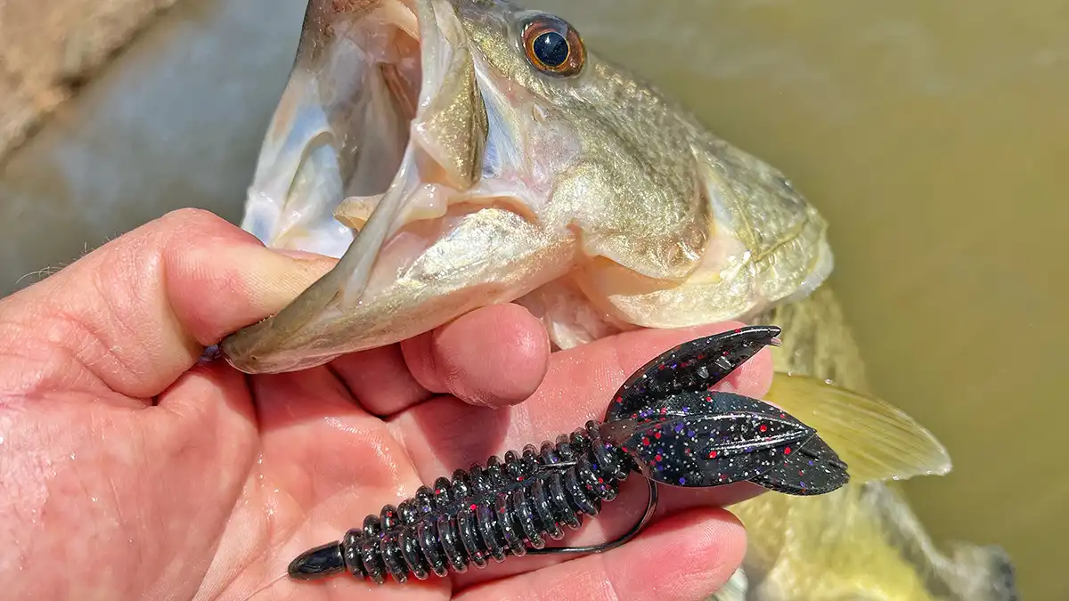 6 Ways to Use a Bullet Weight for Bass Fishing - OUTDOOR CRUSADE