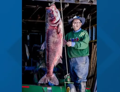 Missouri Angler Catches World Record Bighead Carp