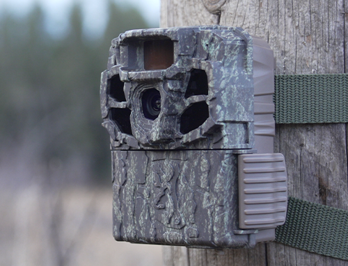 Browning Dark Ops Trail Camera Overview | Deer & Deer Hunting