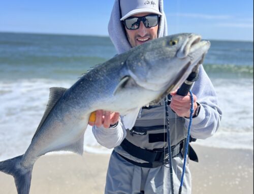 Long Island and NYC Fishing Report- April 25, 2024