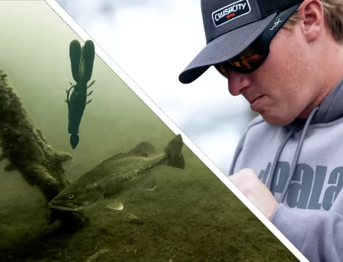 Connell’s Guide to Pitching Stumps for Big Springtime Bass