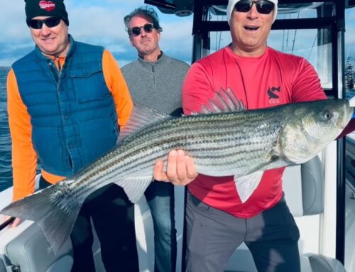 Cape Cod Fishing Report- May 2, 2024