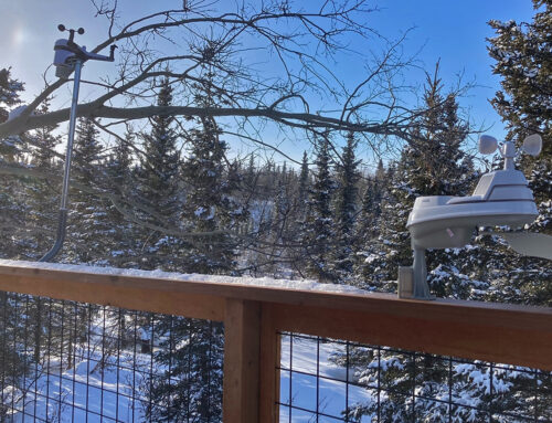 The 4 Best Home Weather Stations of 2024, Tested and Reviewed