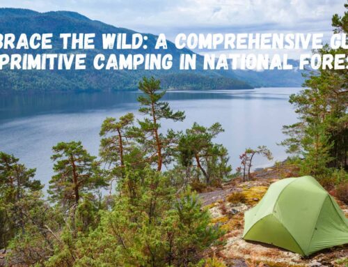 Embrace the Wild: A Comprehensive Guide to Primitive Camping in National Forests