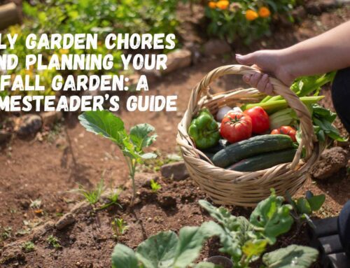 July Garden Chores and Planning Your Fall Garden: A Homesteader’s Guide