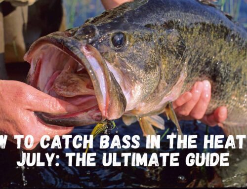 How to Catch Bass in the Heat of July: The Ultimate Guide