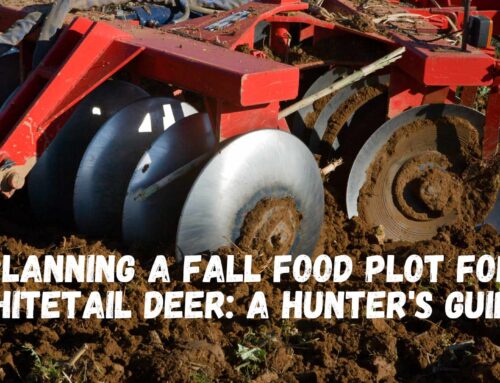 Planning a Fall Food Plot for Whitetail Deer: A Hunter’s Guide
