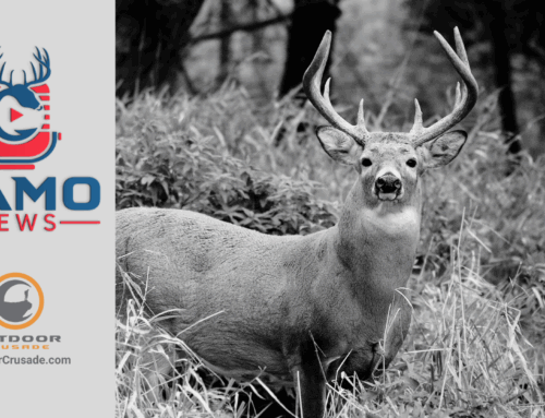 CAMO News – Hunting – 6-28-2025