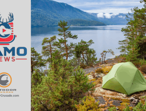 CAMO News – Outdoors – 6-28-2025